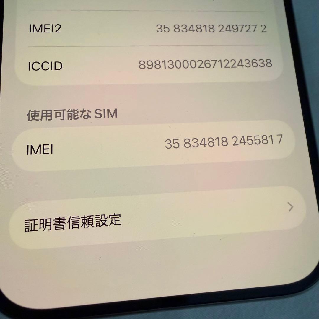 アメリカ版　Apple iPhone 15 Pro 本体　ナチュラルチタニウム