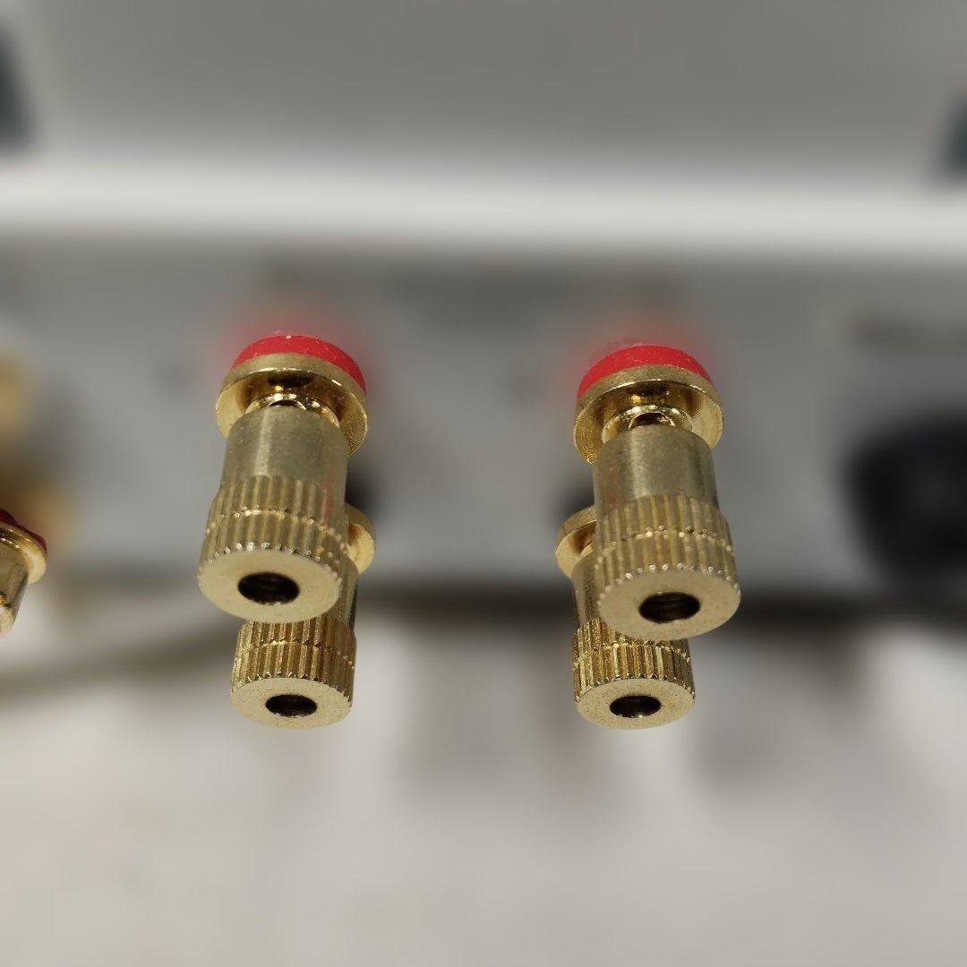 TRIODEトライオードパール