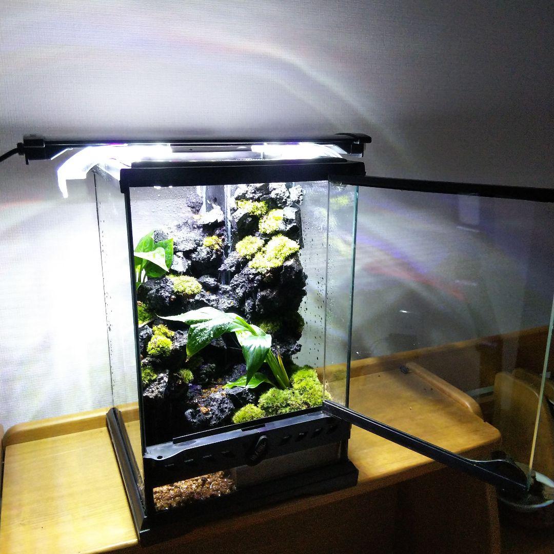 【受注生産】滝の流れるアクアテラリウム　テラリウム　苔　イモリウム