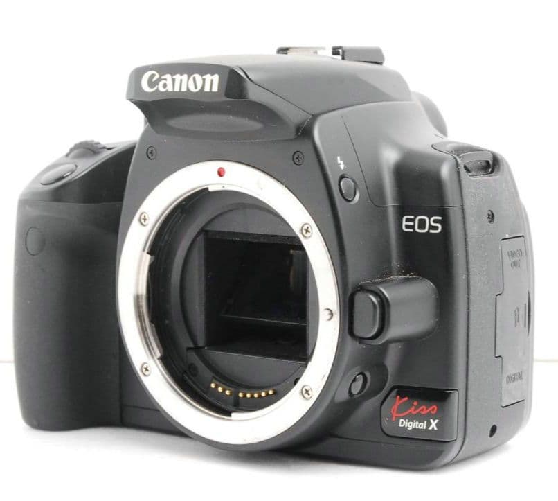 ワーユ アンゴロ プトラ様　　CANON　Eos Kiss　X♥初心者