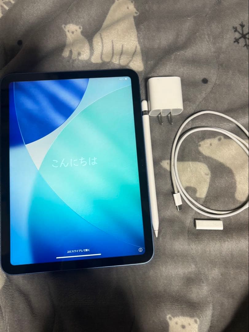 値下げ交渉OK iPad 第10世代 256GB Wi-Fiモデル 美品