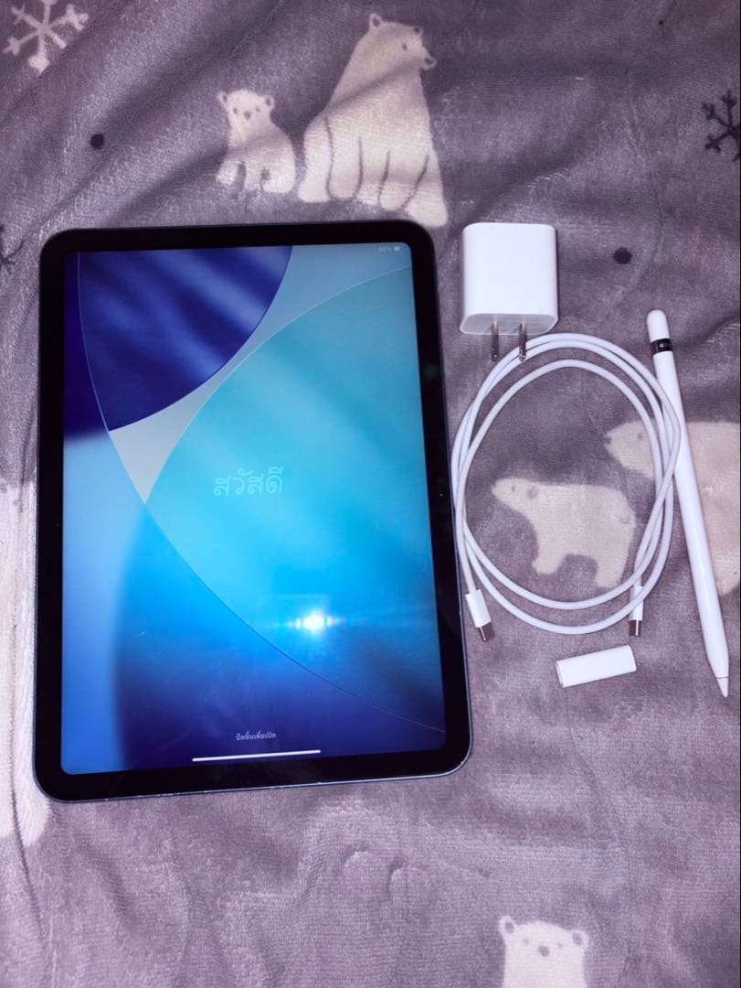 値下げ交渉OK iPad 第10世代 256GB Wi-Fiモデル 美品