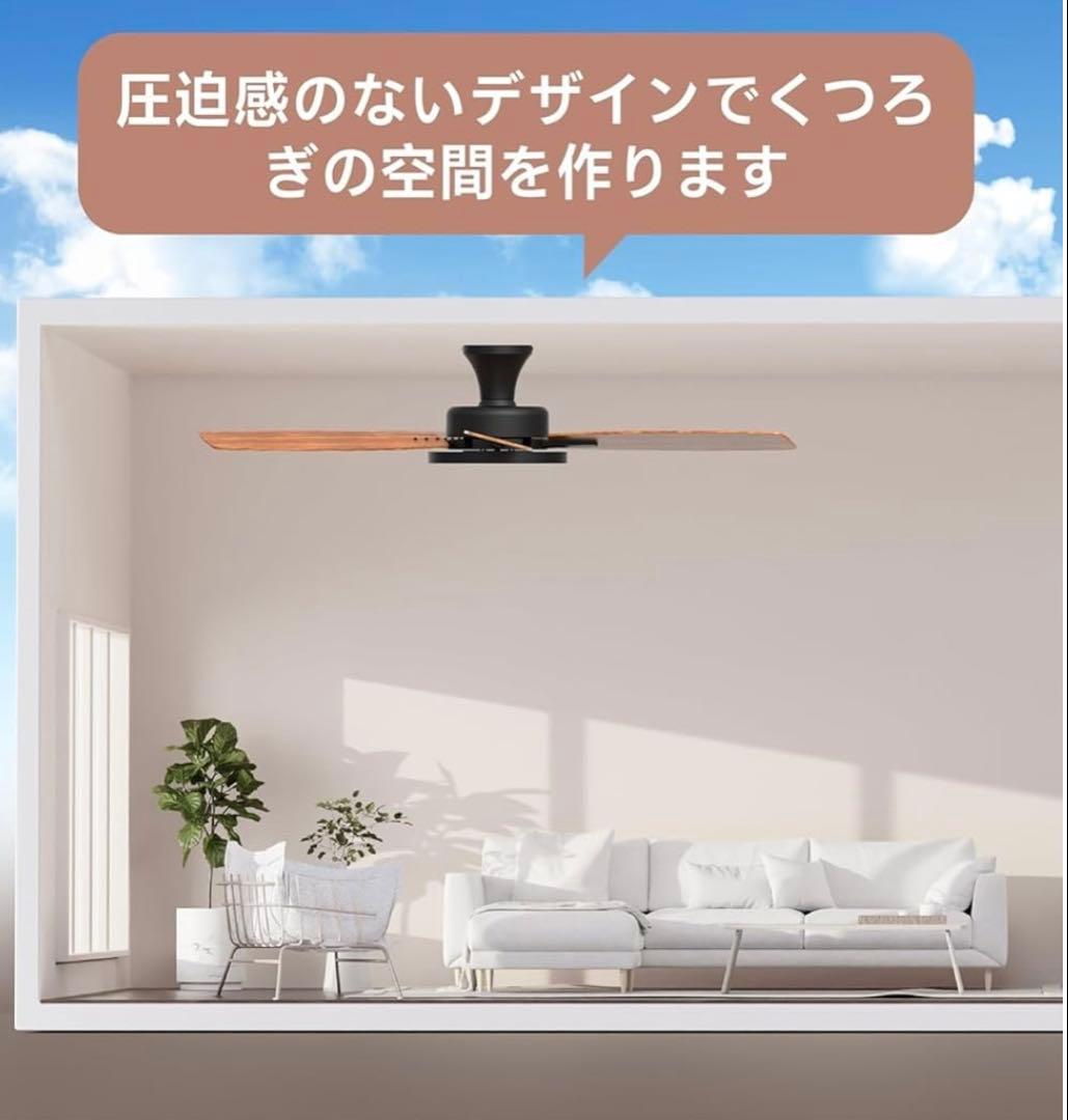 【新品】TALOYA シーリングファンライト