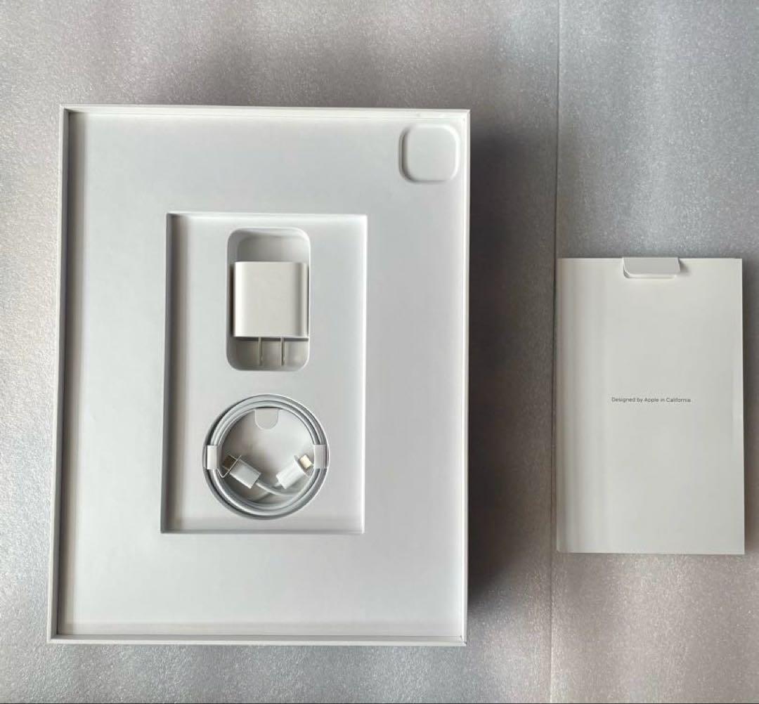 iPad Pro 12.9 Wi-Fi 第4世代 256GB 本体