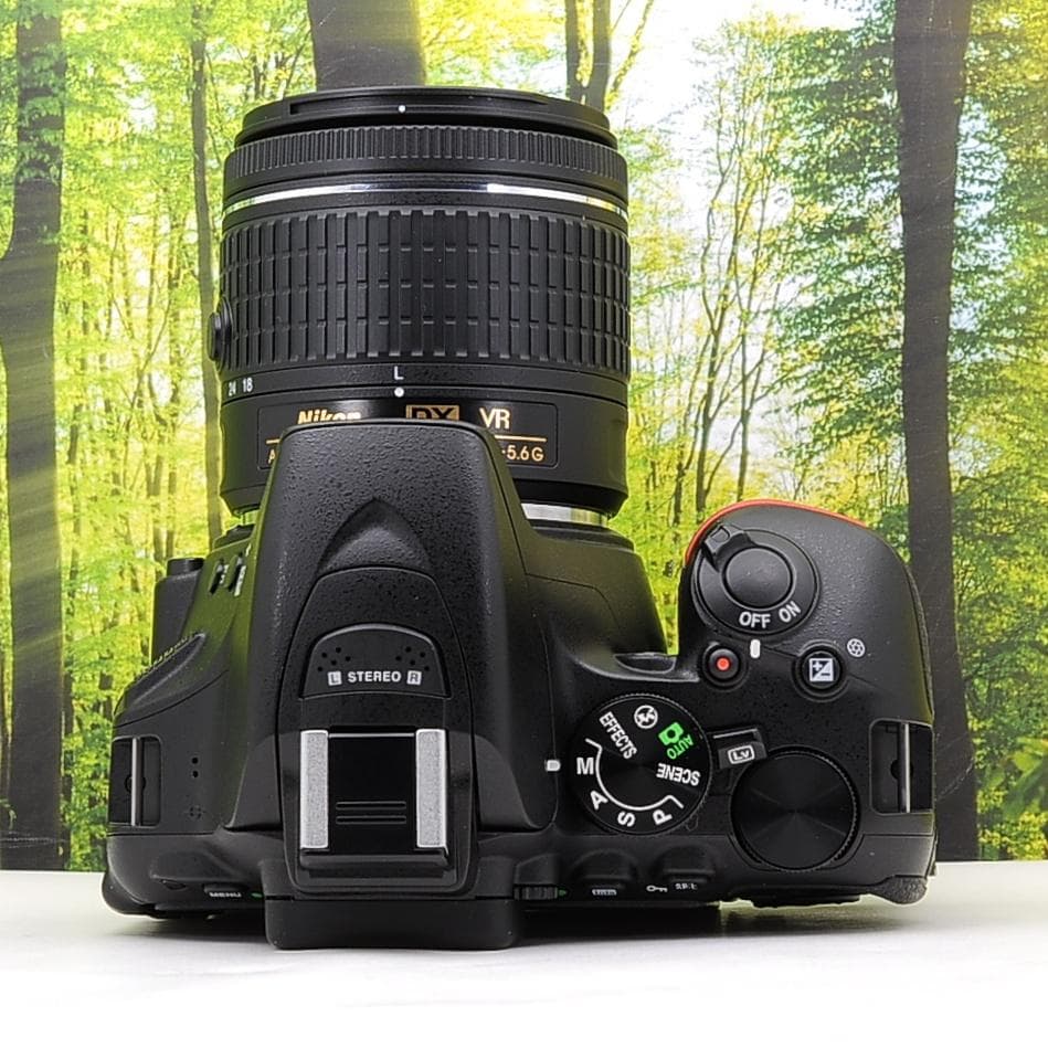 ショット数3765枚☆スマホ転送機能付☆Nikon D5500☆新型レンズセット