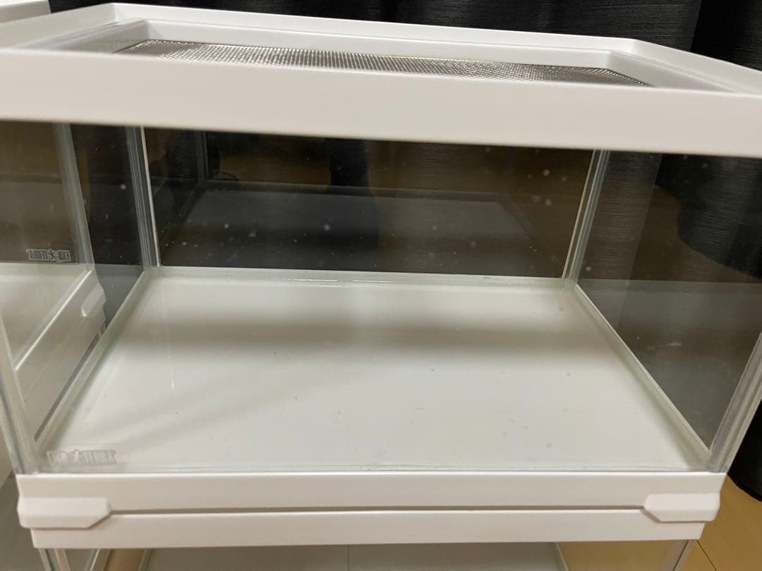 超美品3個セットGEX ジェックス エキゾテラ レプテリア ホワイト300Low