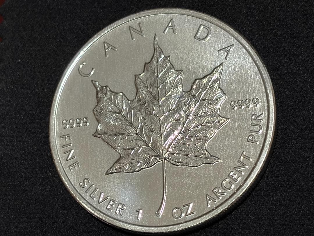 メイプルリーフ銀貨　カナダ 5ドル 純銀貨 エリザベス2世 2010年