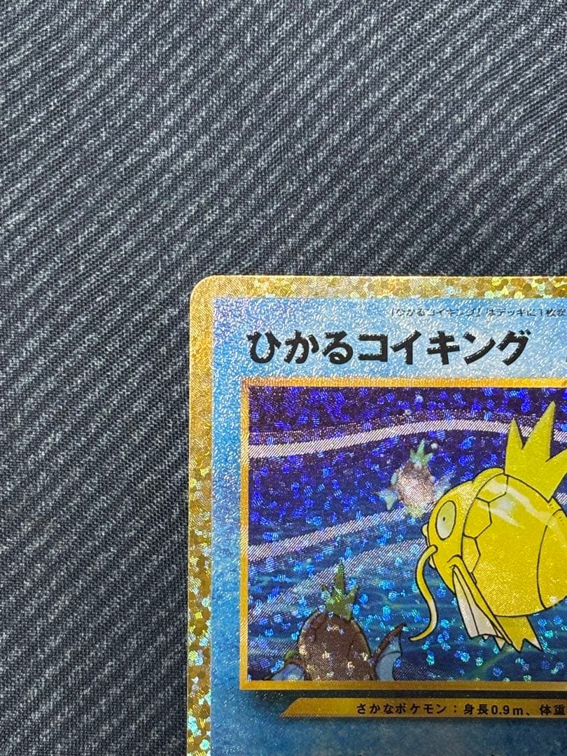 ひかるコイキング 25th