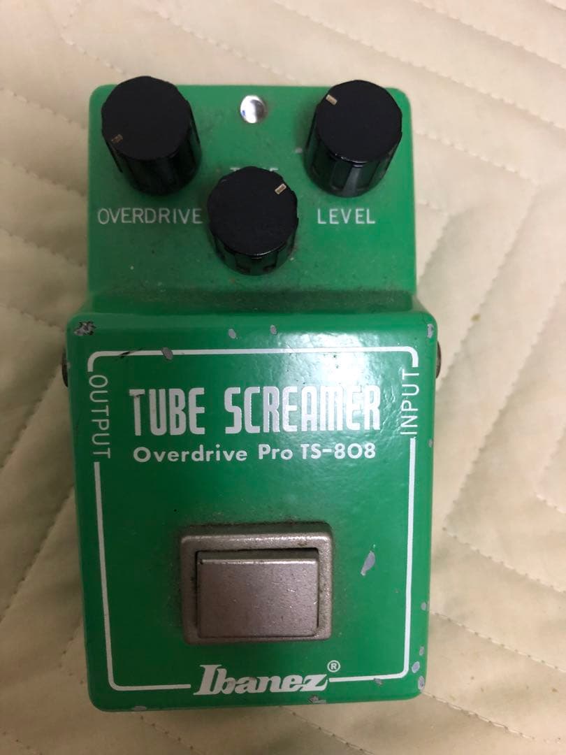 アイバニーズヴィンテージts808