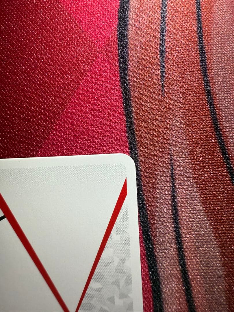 ユニオンアリーナ マクロス ランカ・リー 直筆サイン