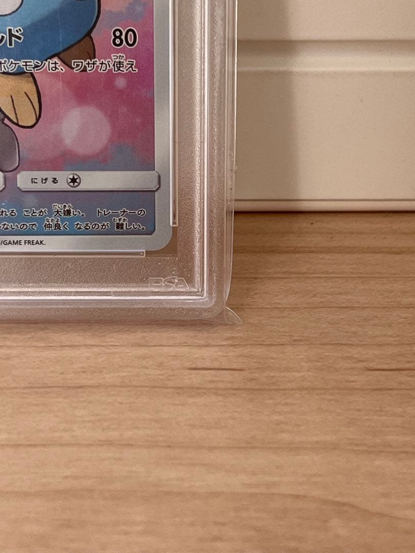 ⚠️今だけ《PSA10》ポッチャマ CHR SM11b