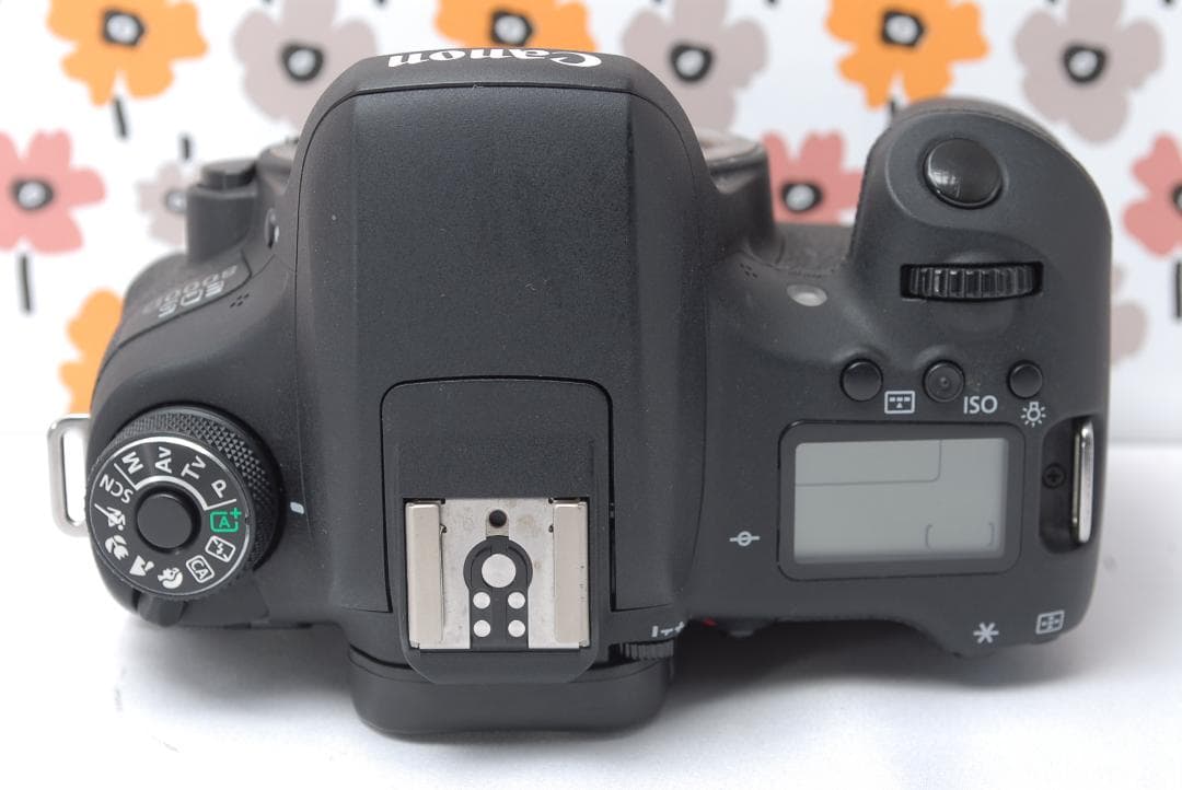 ❤即購入1000円OFF❤Canon 8000D❤Wi-Fi転送❤スポーツ撮影に