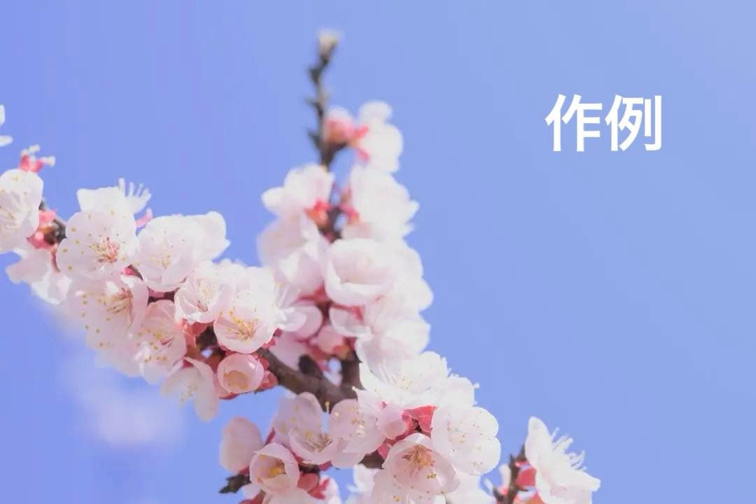 タイムセール⬜️Nikon Z 5 ボディ（即発送可能）⬜️