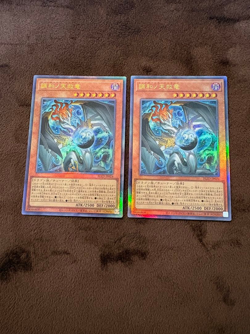 遊戯王 調和ノ天救竜ホロ 2枚セット
