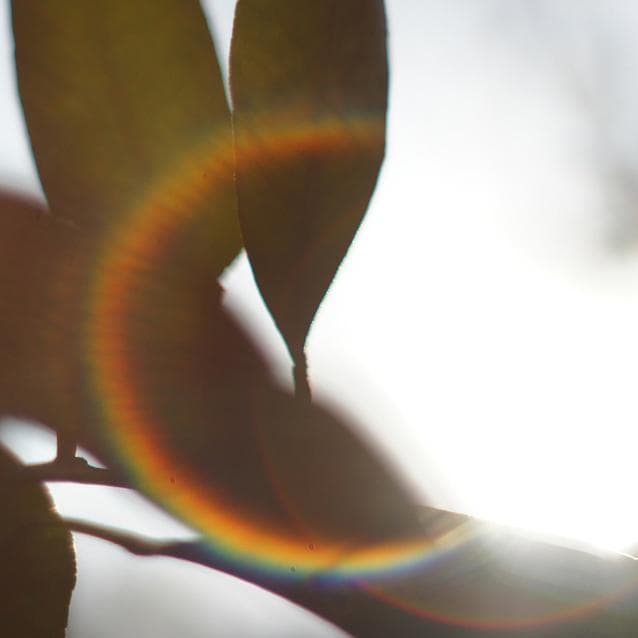 【整備済完動品】　Super Takumar 55mm f1.8 後期型