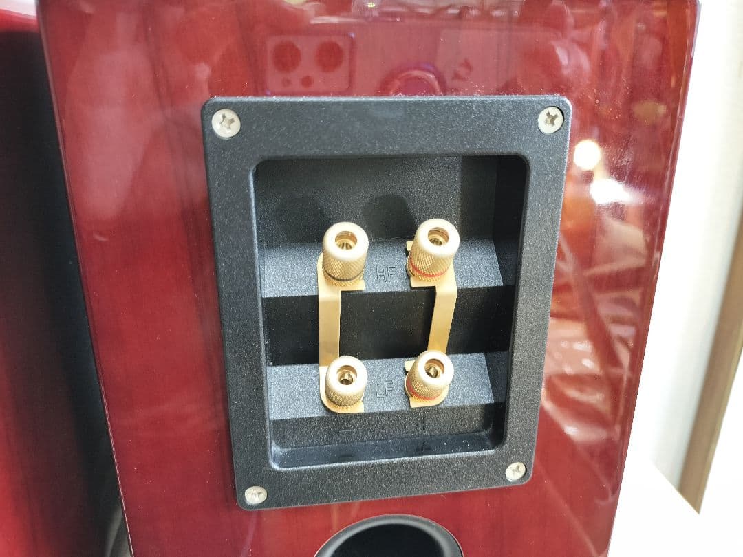 美品 TEAC S-300NEO-CH スピーカー