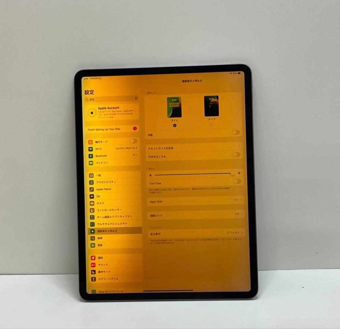 iPad Pro12.9インチ 第4世代 Apple Pencil付き