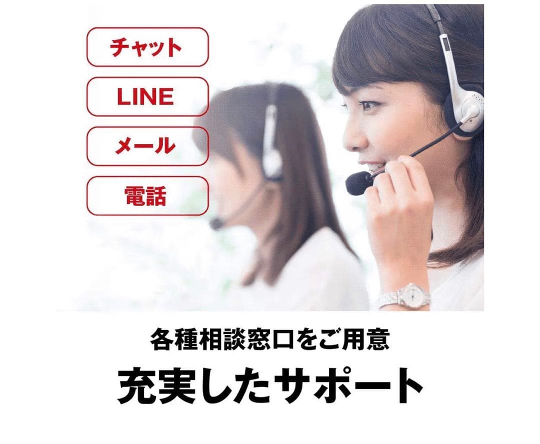 【極美品】BUFFALO リンクステーション LS220D0402G 4TB