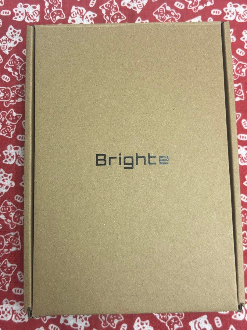 ST-91 Brighte ELEKI BRUSH 美顔器