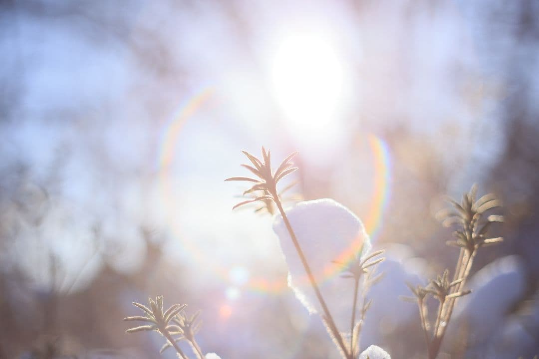 Super-Takumar 55mm F1.8 前期型 S/N：1053586