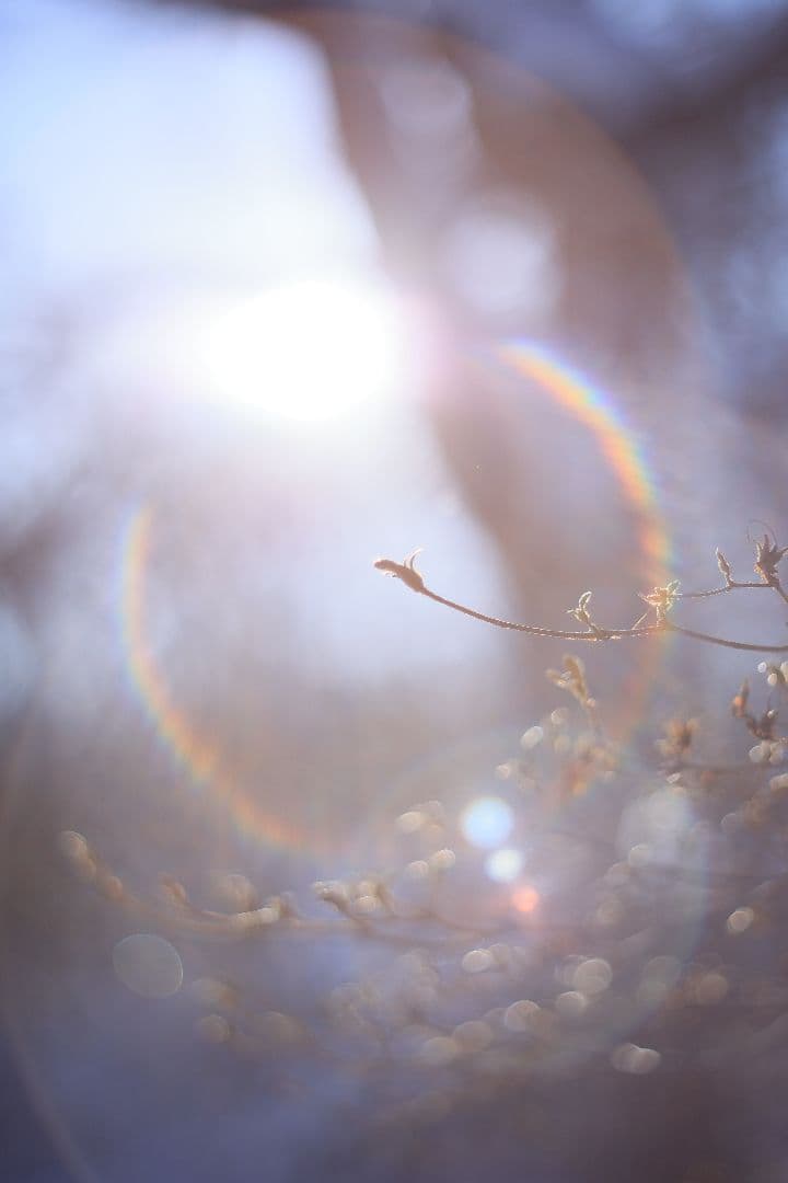 Super-Takumar 55mm F1.8 前期型 S/N：1053586