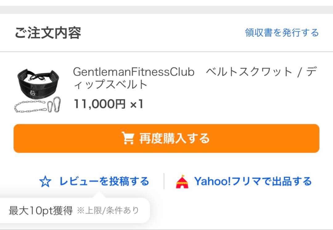 飛延　新品　gfc コンパクトベルトスクワット　ディップスベルトとのセット