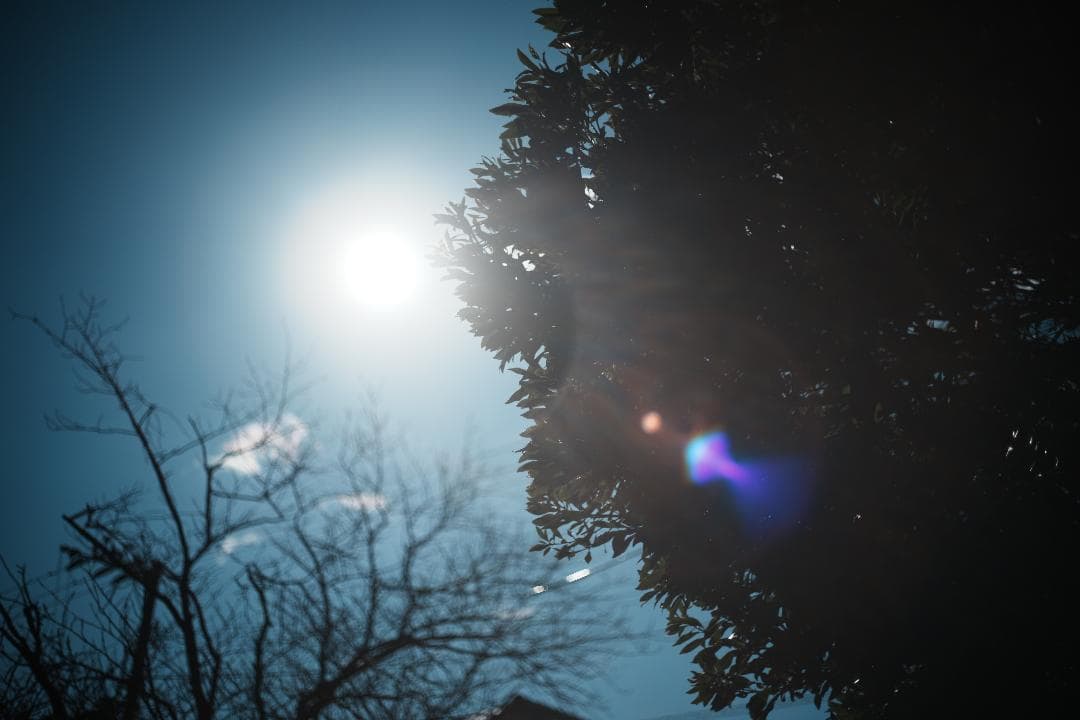 【この値段でライカ級】富岡光学製 XR RIKENON 50mm F2 269