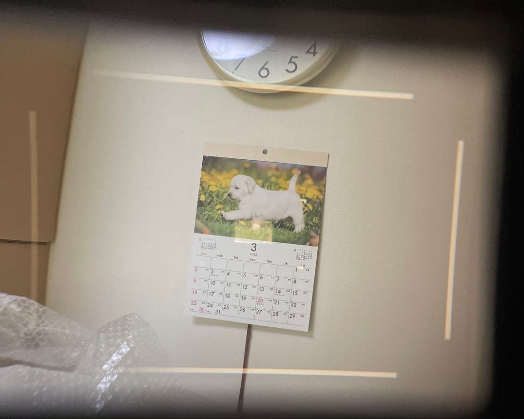 Leica m4 シルバークローム