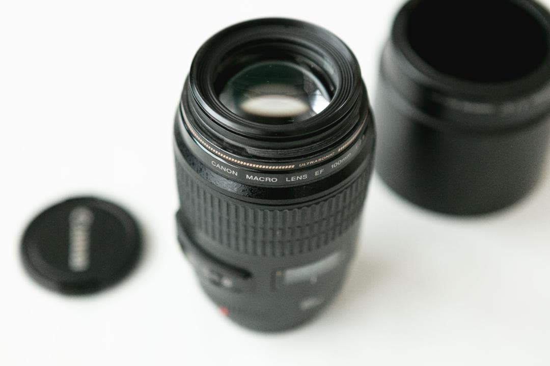 Canon EF100mm F2.8 マクロ USM