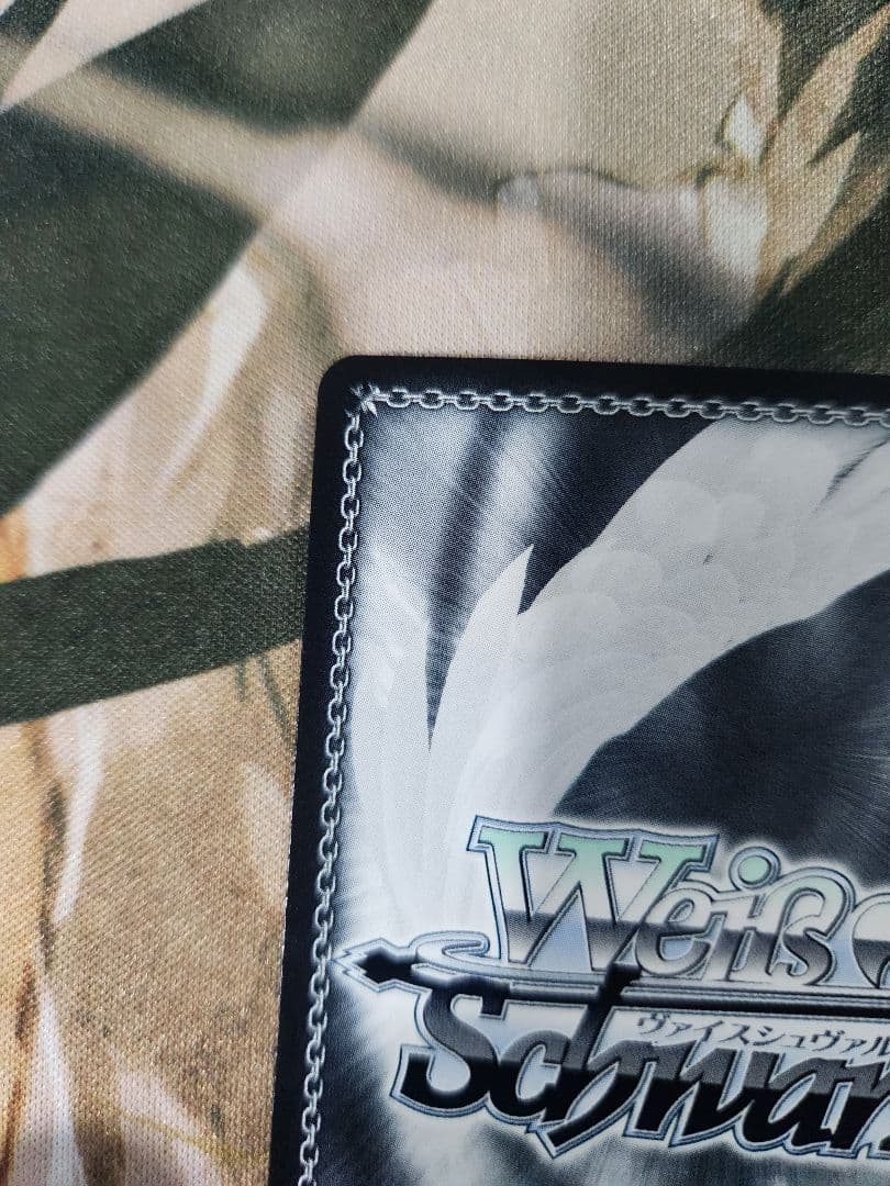 断ち切れない縁　アリスリーゼ　SEC サイン