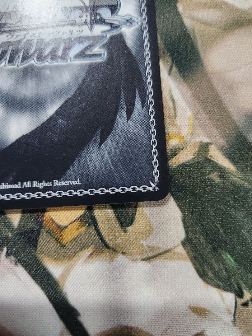 断ち切れない縁　アリスリーゼ　SEC サイン