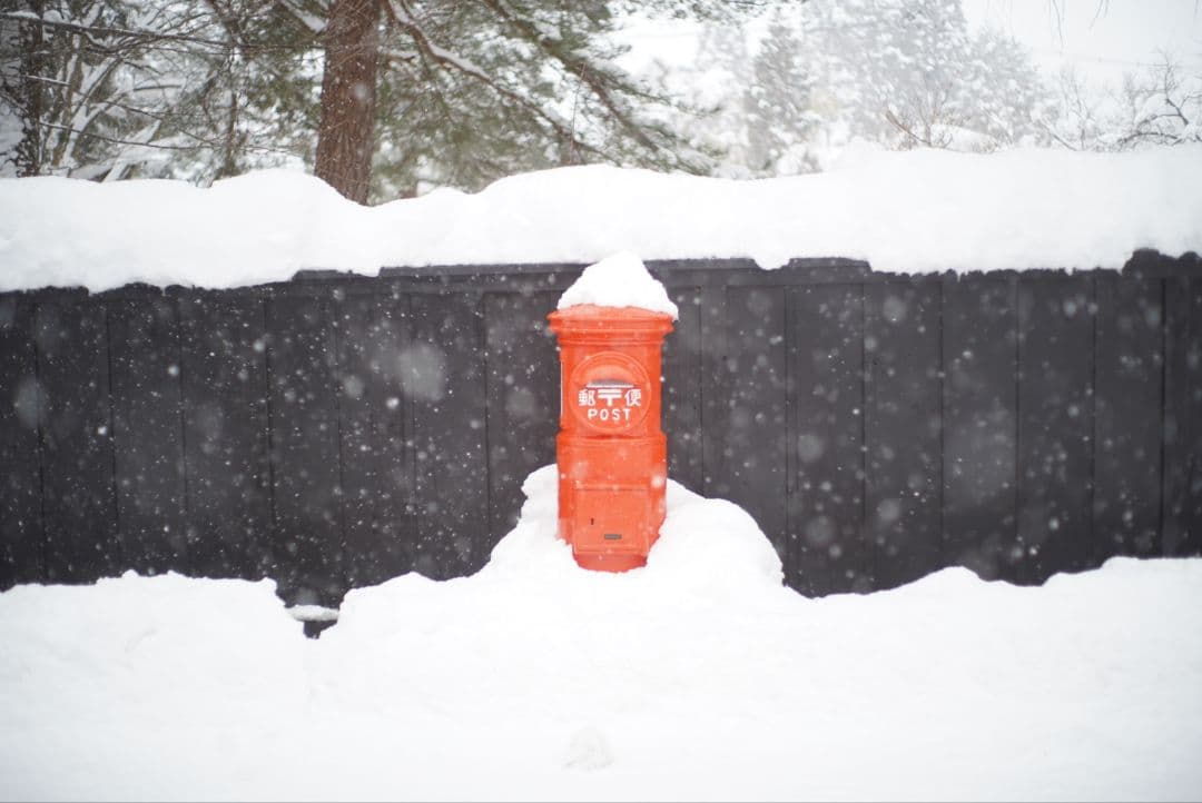 【動作確認済】YASHICA AUTO YASHINON-DX50mm f1.7