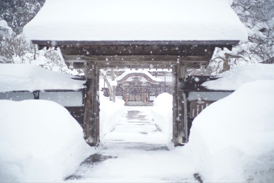 【動作確認済】YASHICA AUTO YASHINON-DX50mm f1.7