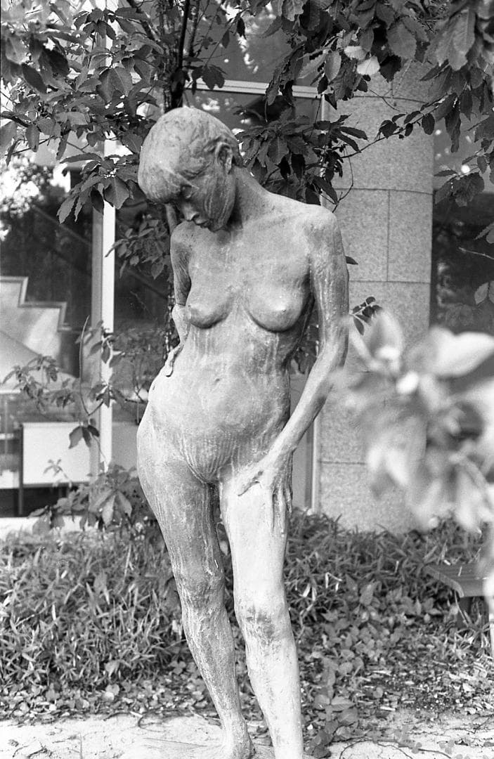 整備済完動 PENTAX MX 黒/SMC PENTAX-M 50mm F1.7