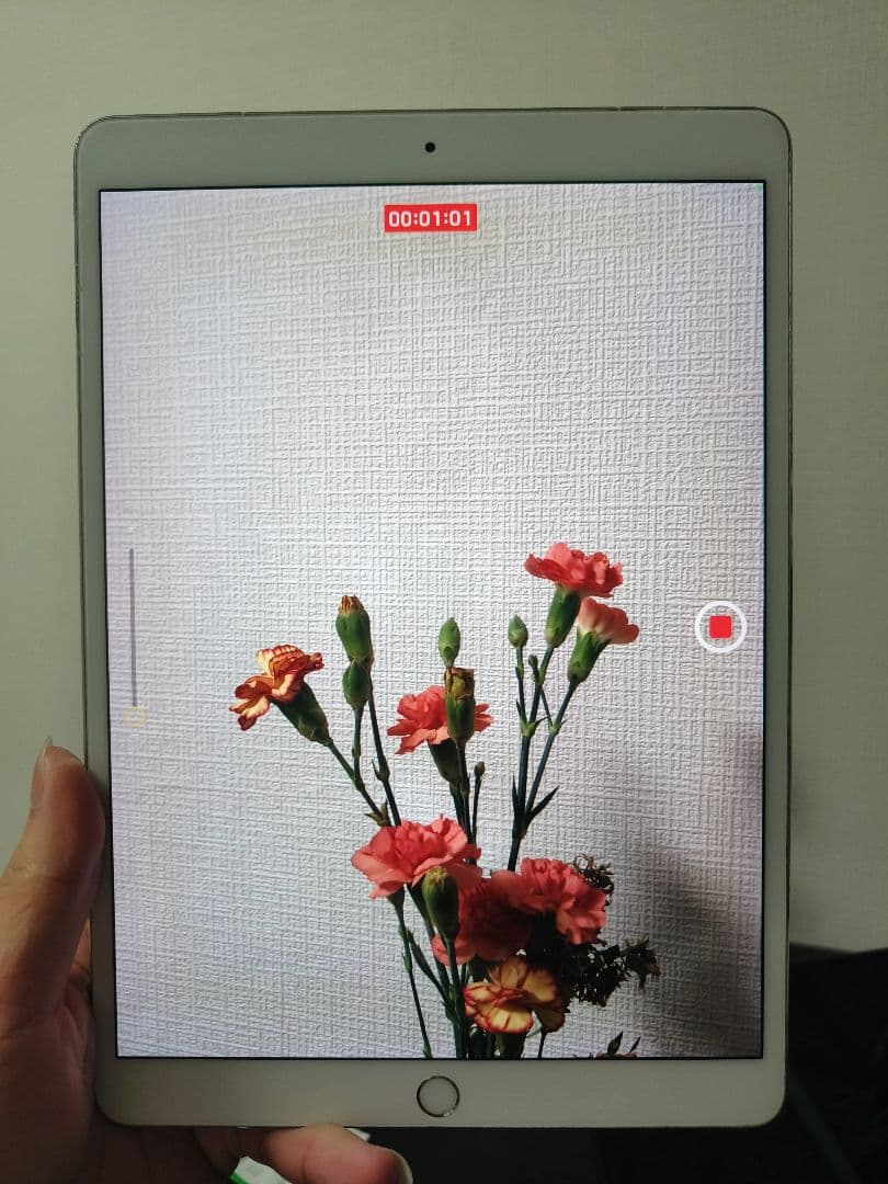 iPad Pro 10.5インチ 256GB Cellular モデル　ジャンク