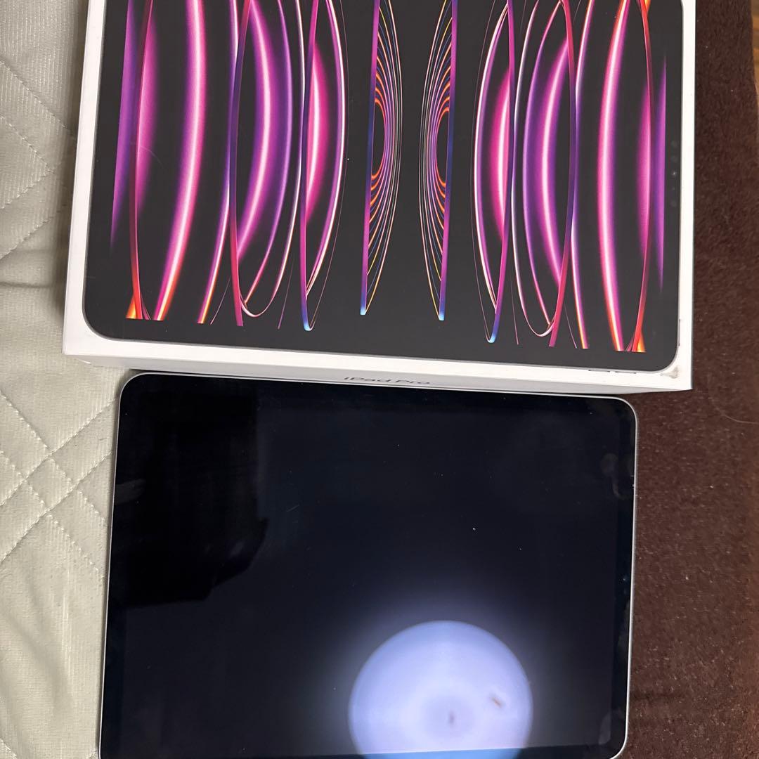 iPad Pro 11インチ (第4世代) WiFiモデル