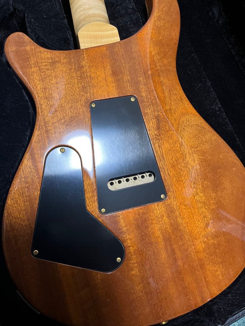 ギター PRS wood library 2010 modern eagle RP PU