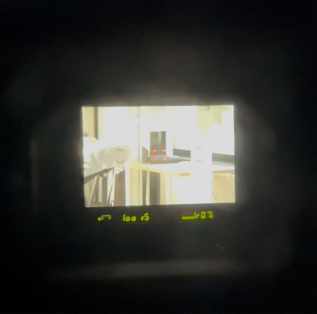 Nikon AF-S NIKKOR 55-200mm F4-5.6 動作良好