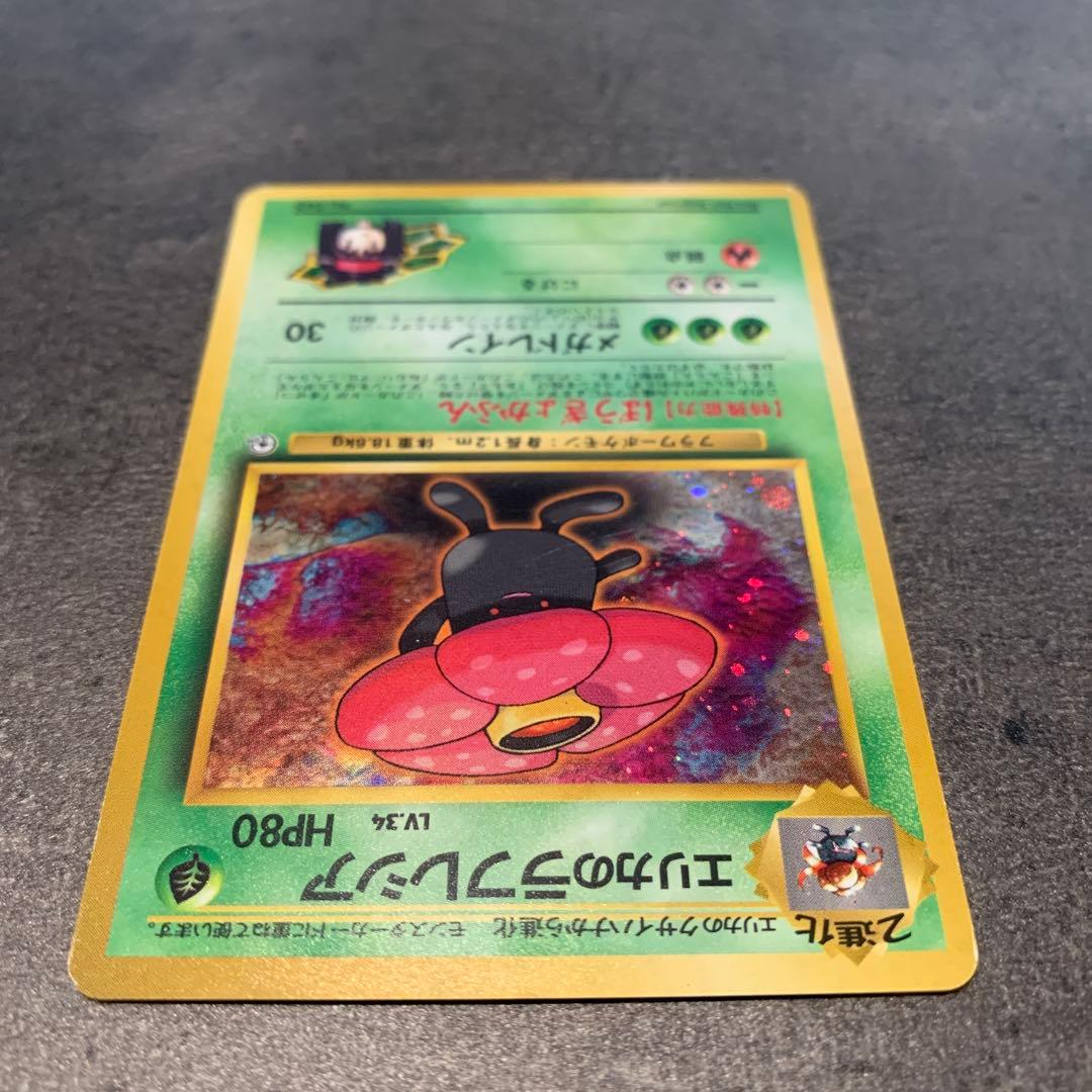 エリカのラフレシア ★ ジム拡張第1弾 リーダーズスタジアム