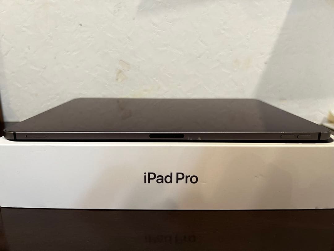 iPad pro 11inch 第2世代 WiFi＋Cellular 128GB