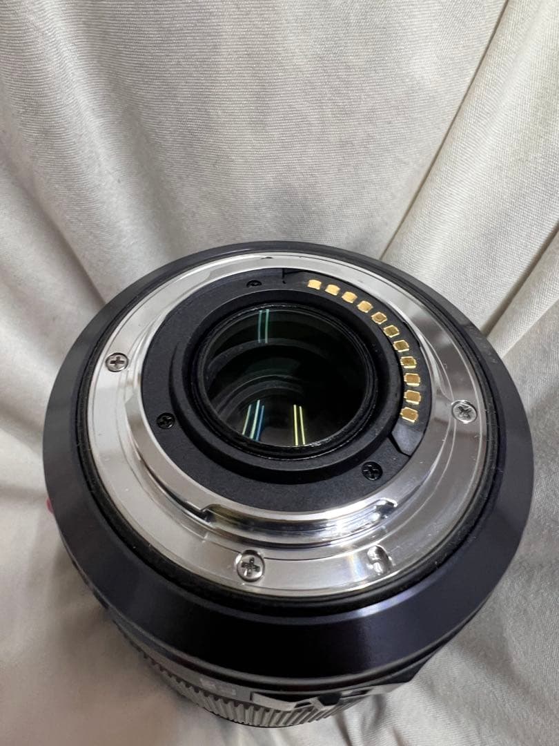 LUMIX G X VARIO 35-100mm/F2.8 レンズ