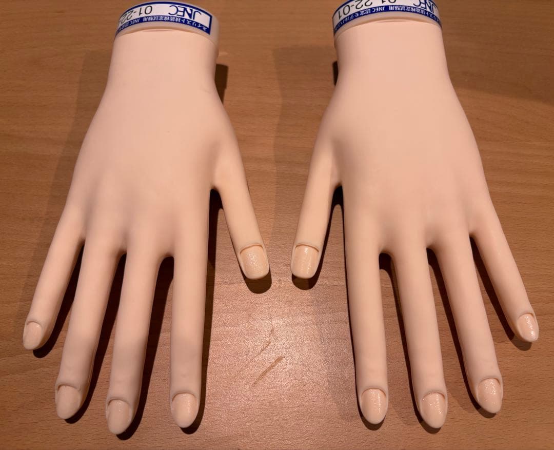JNEC認定モデルハンド 骨折なし