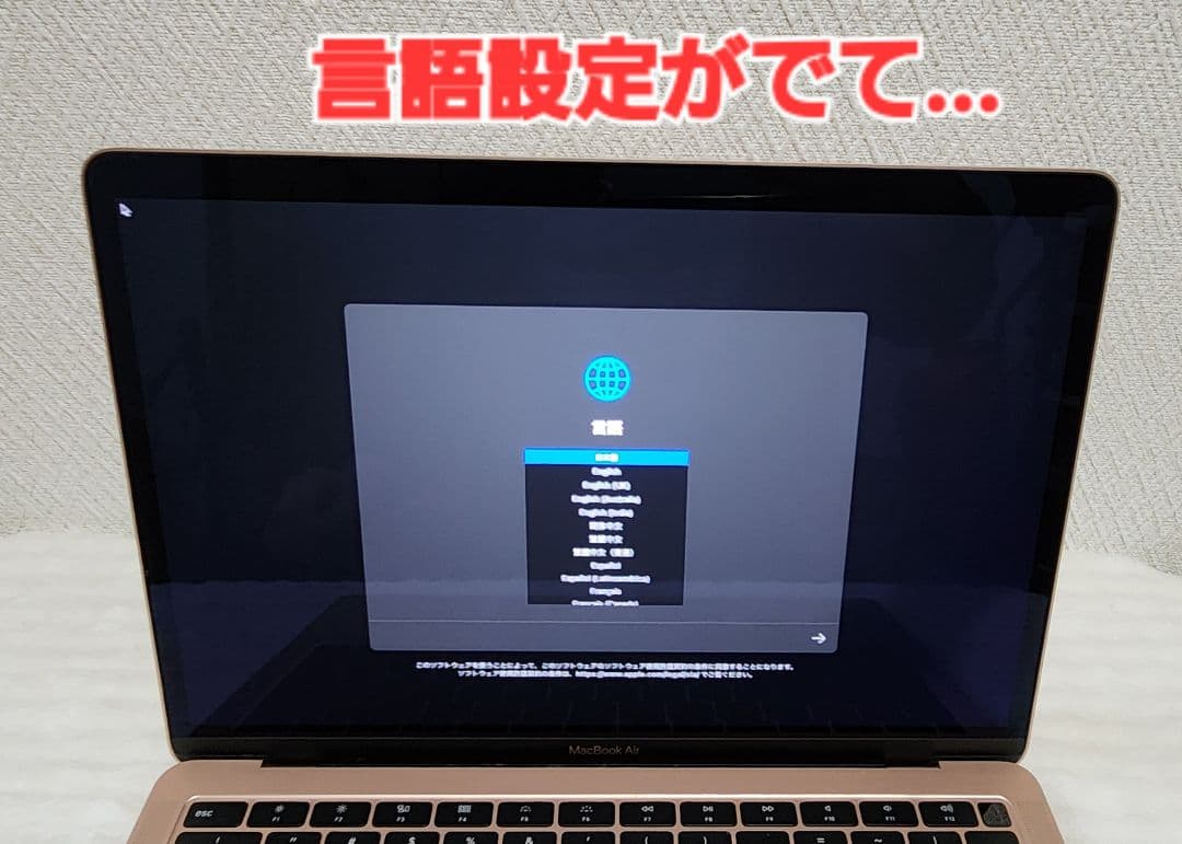 MacBookAir2018ジャンク【アクティベーションロックあり！】