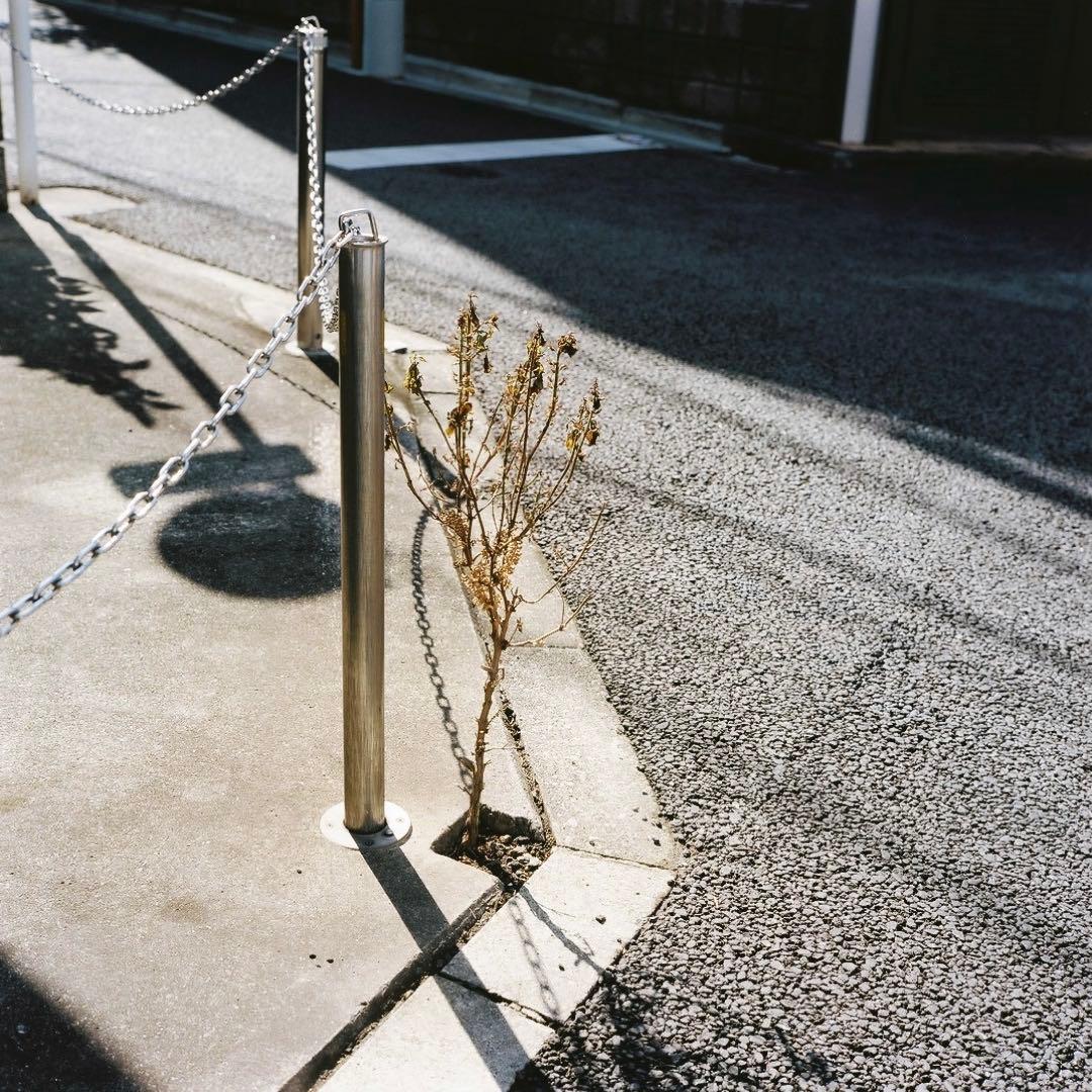 BRONICA 中判カメラ NIKKOR 75mm f/2.8