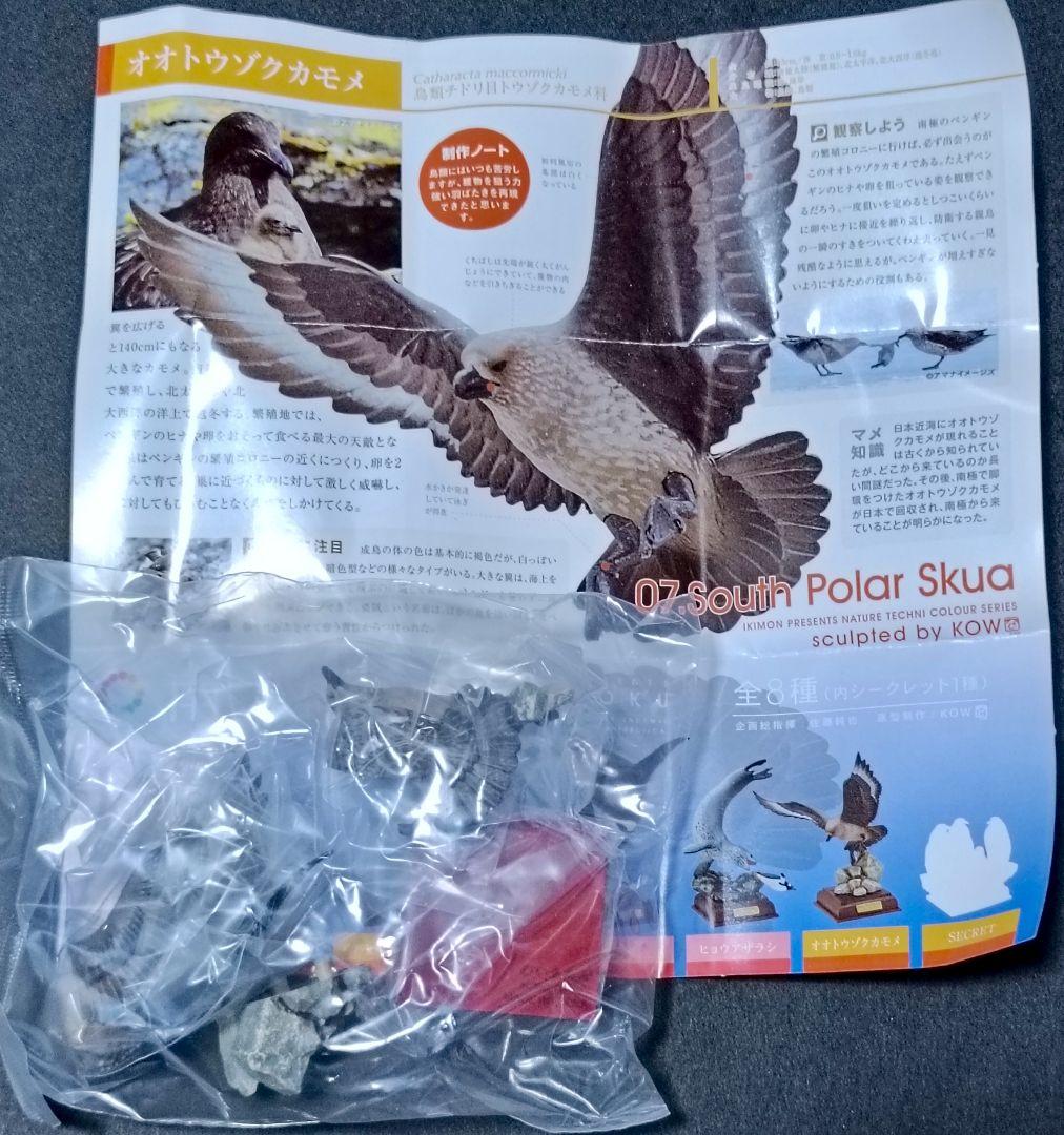 新品 南極 初期版(赤台座) 全8種 コンプリート ネイチャーテクニカラー