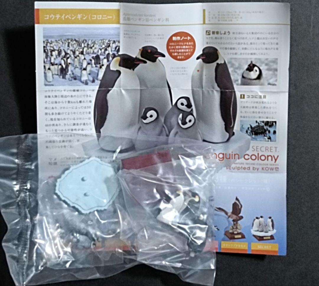 新品 南極 初期版(赤台座) 全8種 コンプリート ネイチャーテクニカラー