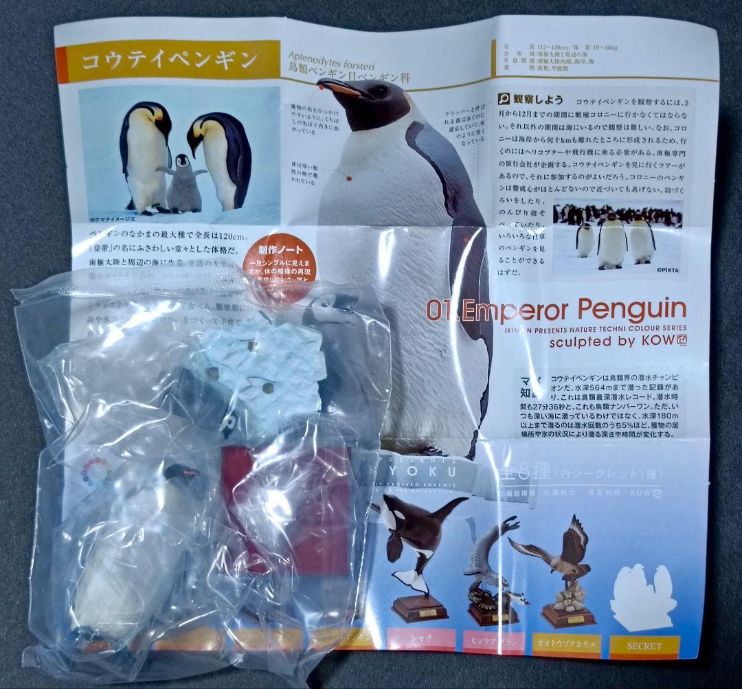 新品 南極 初期版(赤台座) 全8種 コンプリート ネイチャーテクニカラー