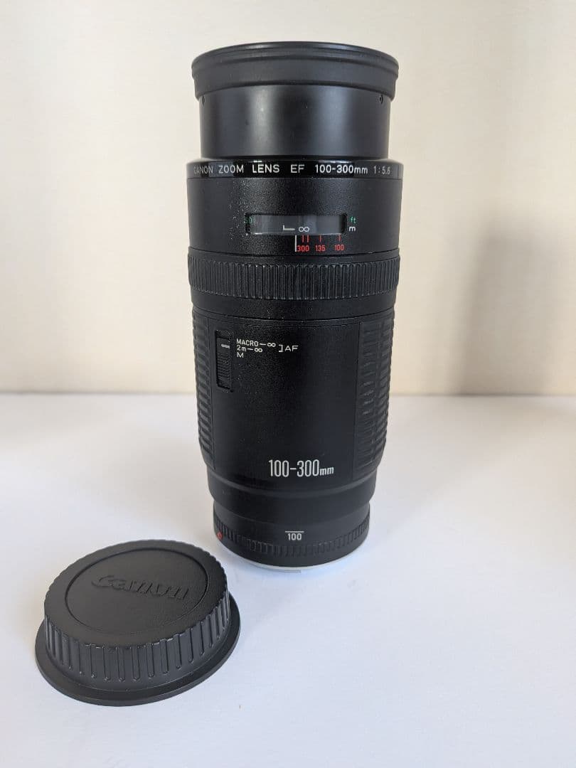 Canon EF 100-300mm F5.6 ❤️超望遠レンズ キヤノン