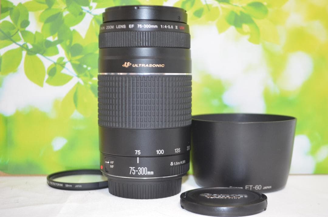 ❤️新品級❤️300mm超望遠レンズ❤️ CANON EF 75-300mm