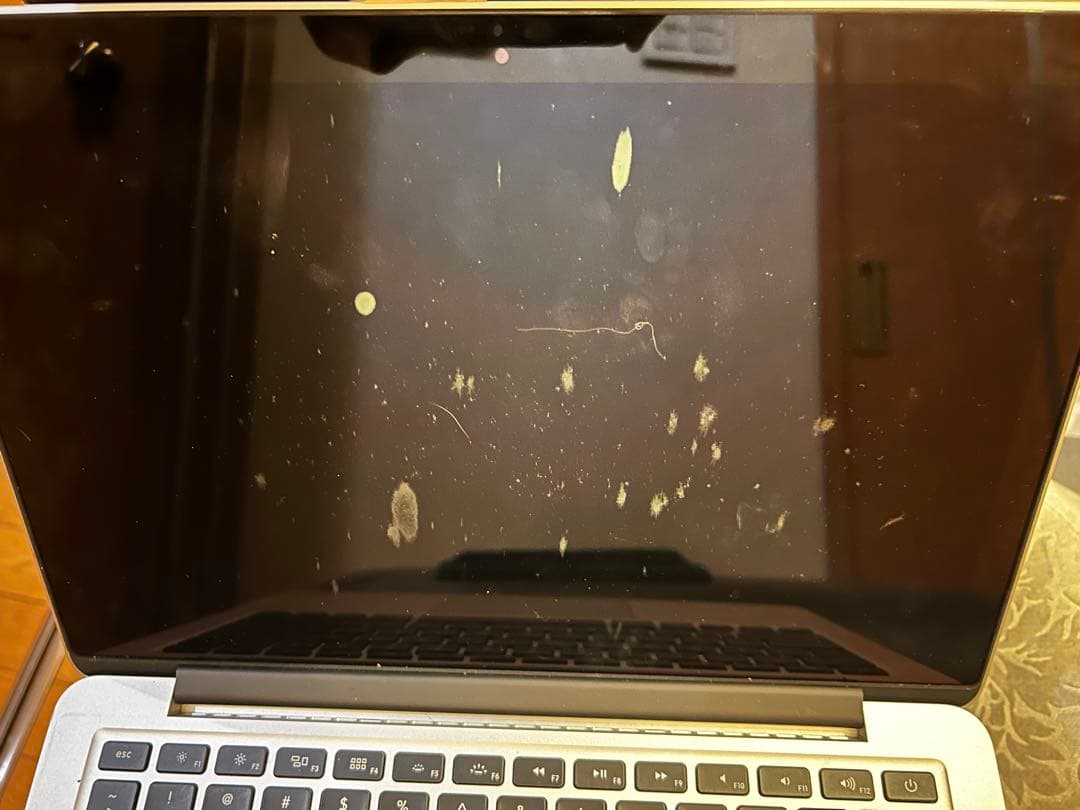 【早い者勝ち】❣️MacBook Pro13インチ　マジックマウスもおつけします